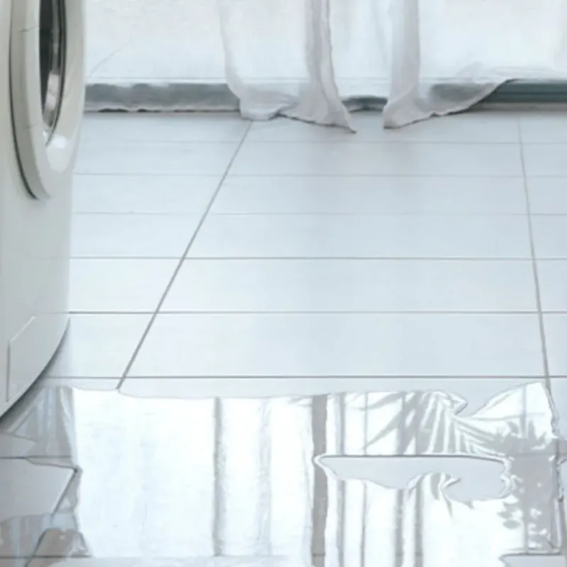 Appliance Leak Cleanup in Federal Way, WA